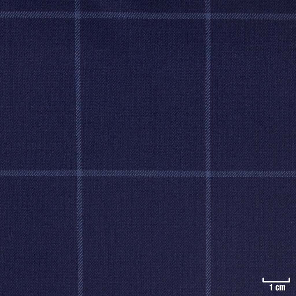 [450120] BLUE, CHECKS