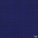 [450205] 蓝色，格纹
