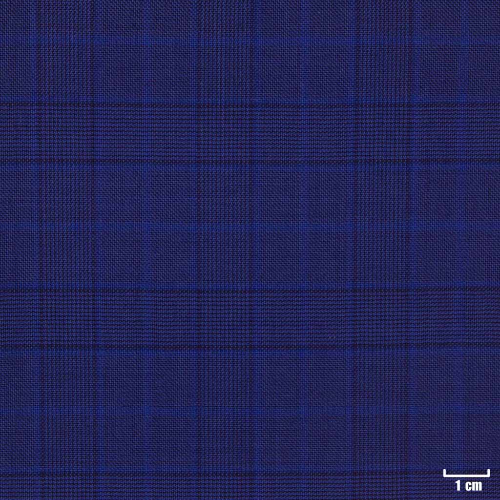 [450205] BLUE, CHECKS