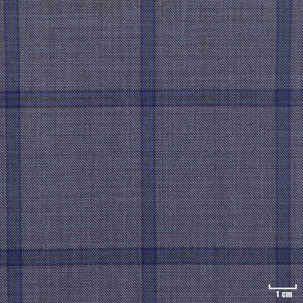 [450219] BLUE, CHECKS