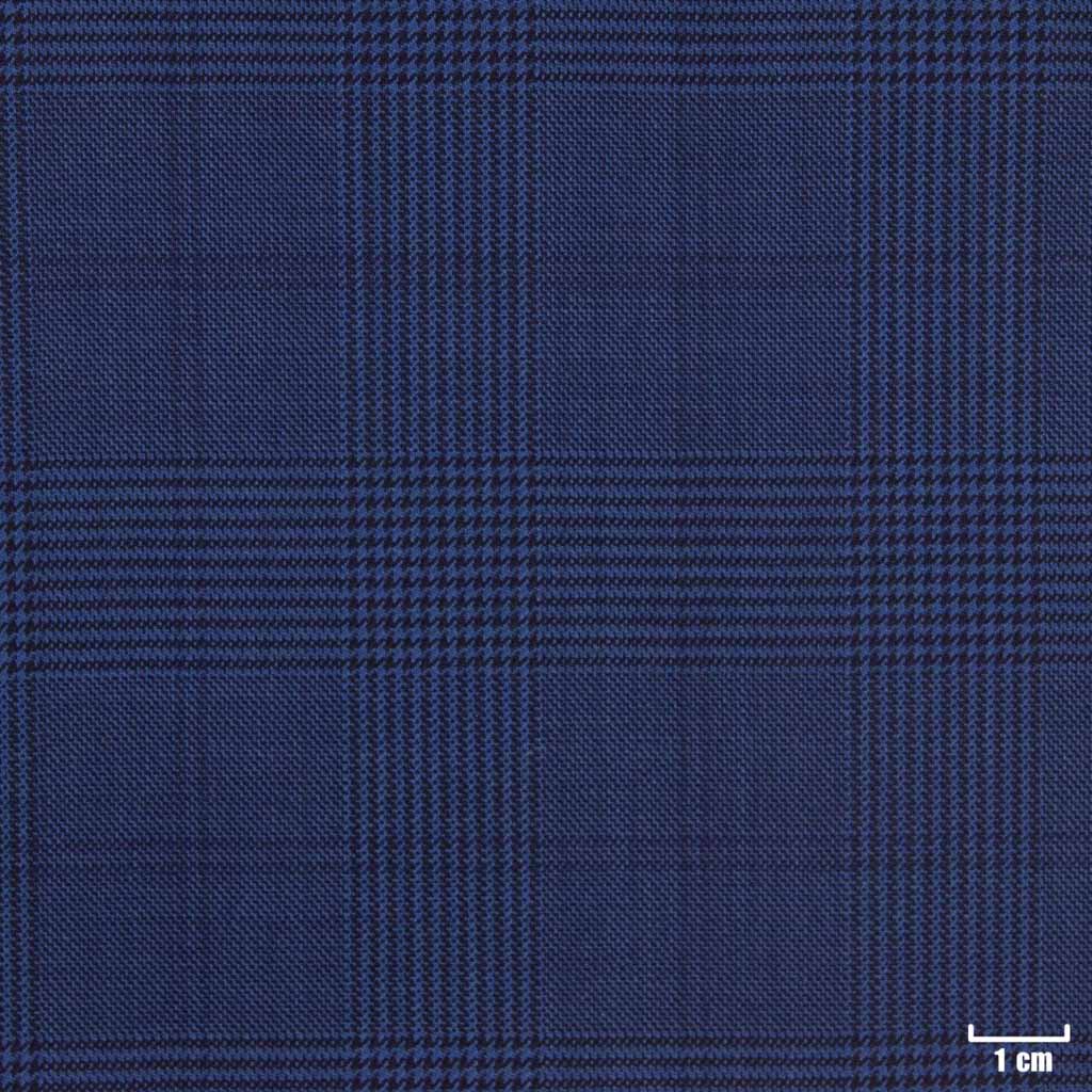 [450223] BLUE, CHECKS