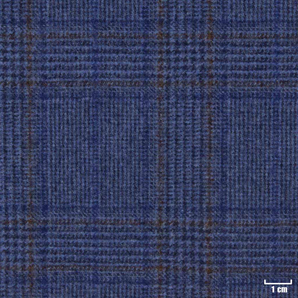 [450404] BLUE, CHECKS