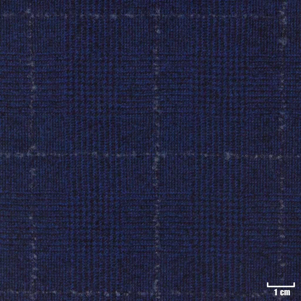 [450419] BLUE, CHECKS