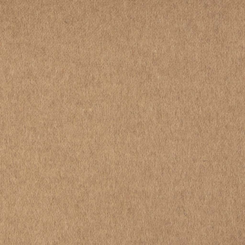 [450425] CAMEL, PLAIN