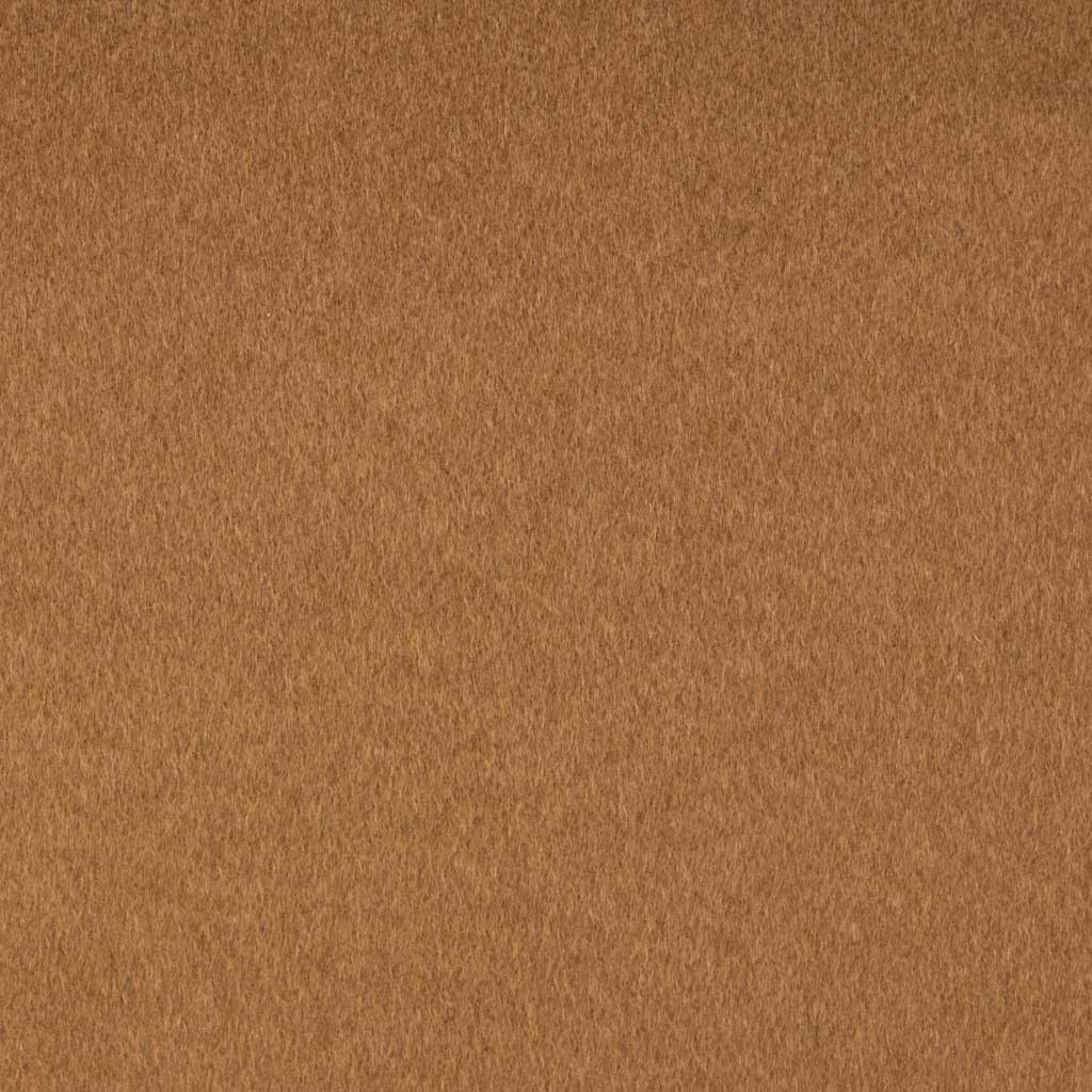 [450430] CAMEL, PLAIN