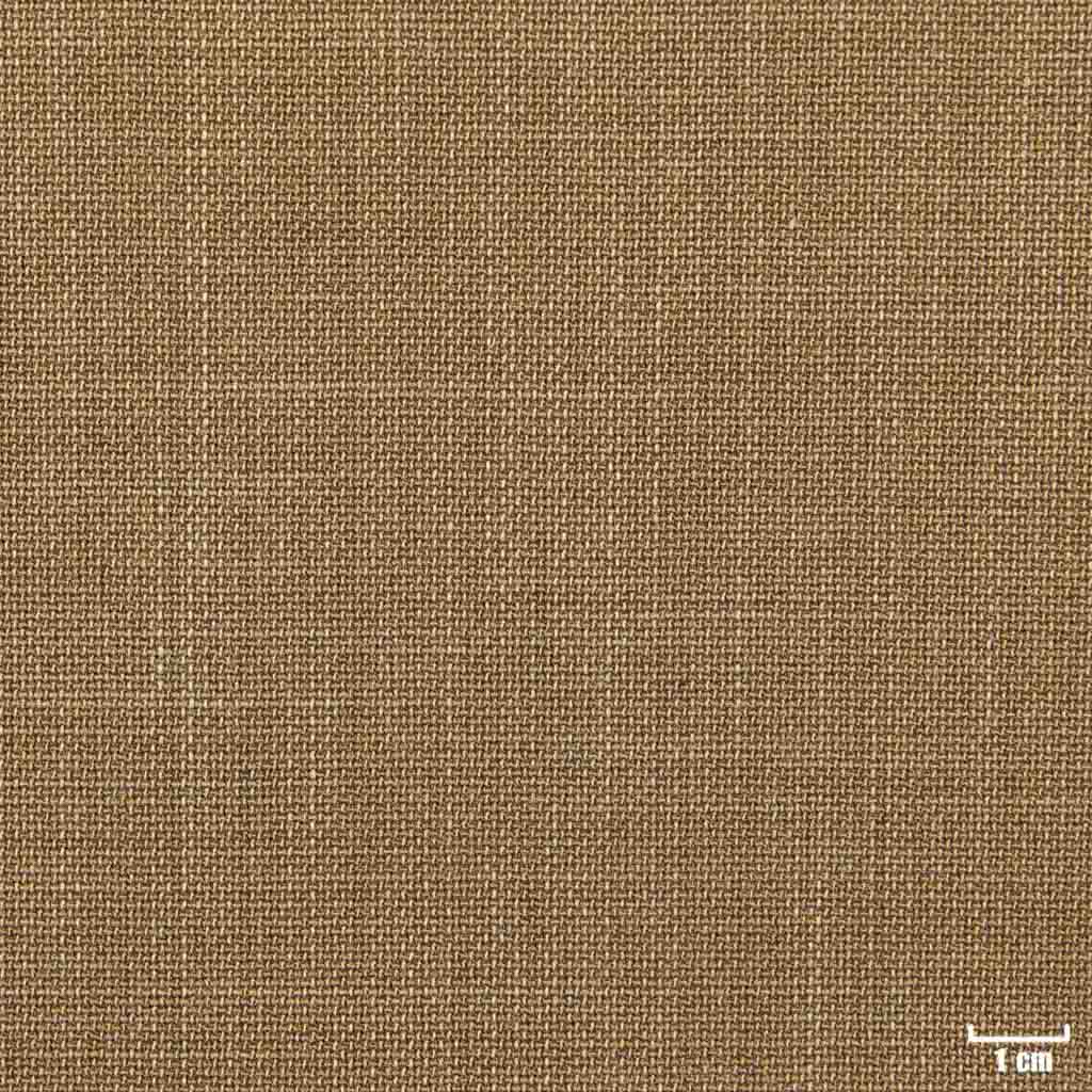 [450507] CAMEL, PLAIN