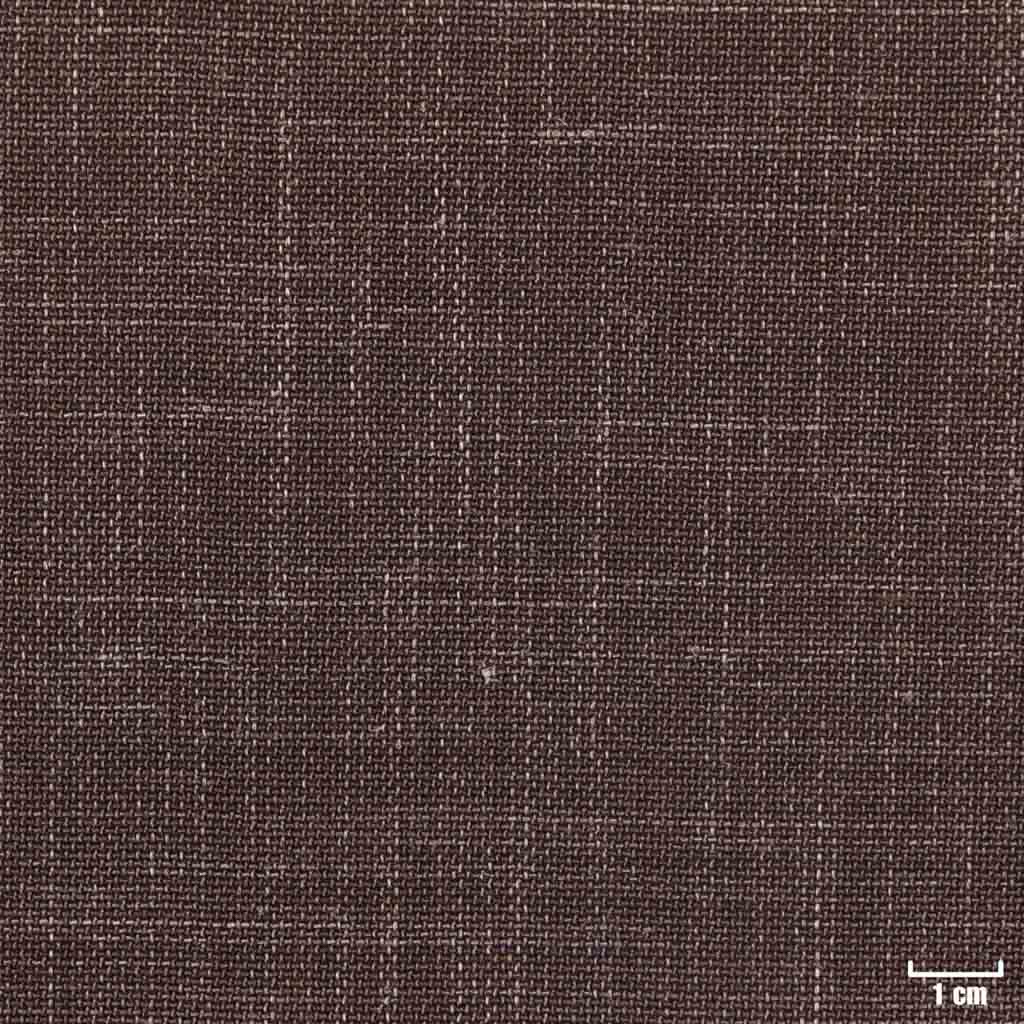 [450508] BROWN, PLAIN