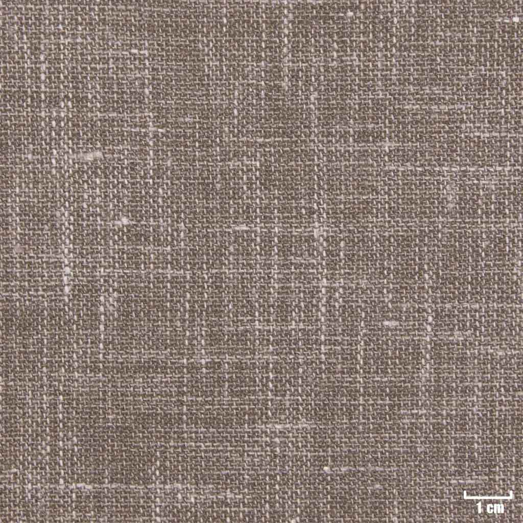 [450516] BROWN, PLAIN