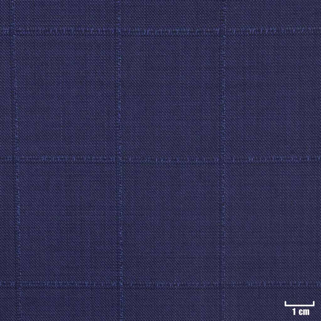 [450542] BLUE, CHECKS