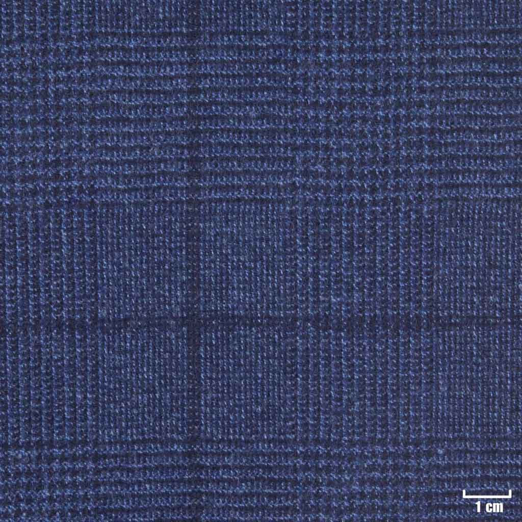 [450729] BLUE, CHECKS