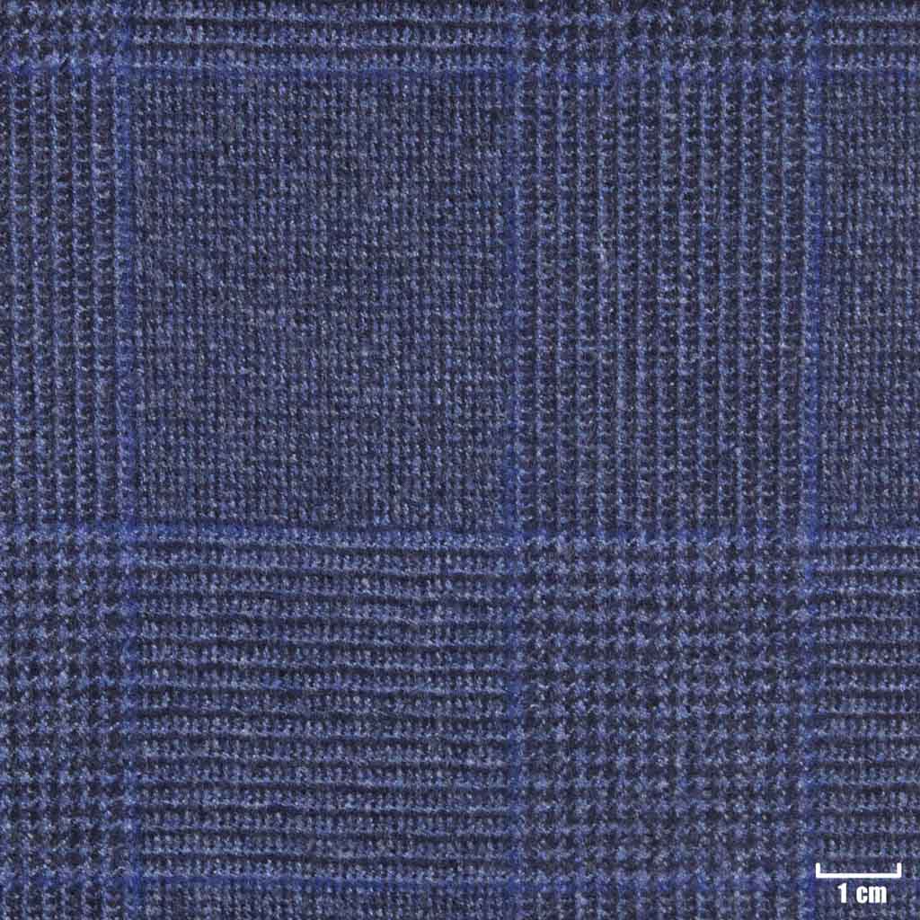 [450731] BLUE, CHECKS