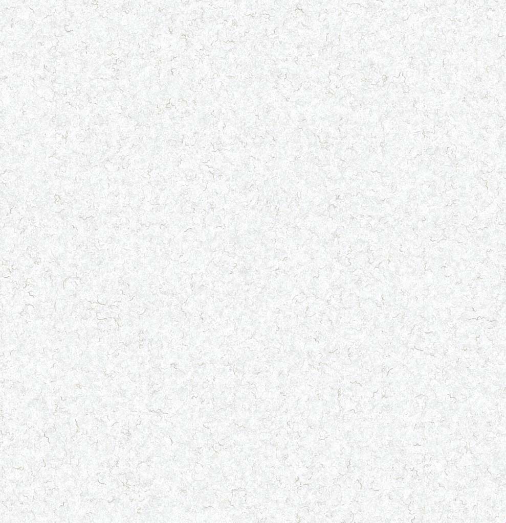 [451205] WHITE, PLAIN