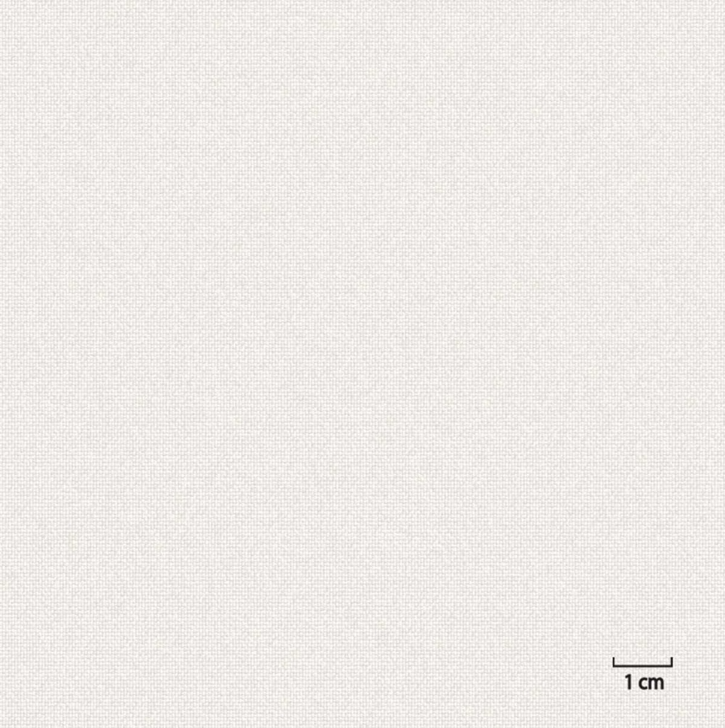 [451301] OFF_WHITE, PLAIN