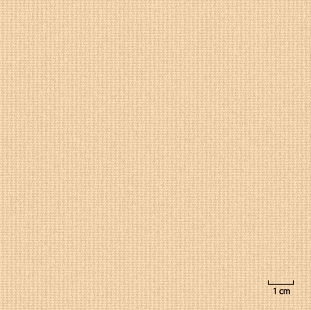 [451302] TAN, PLAIN