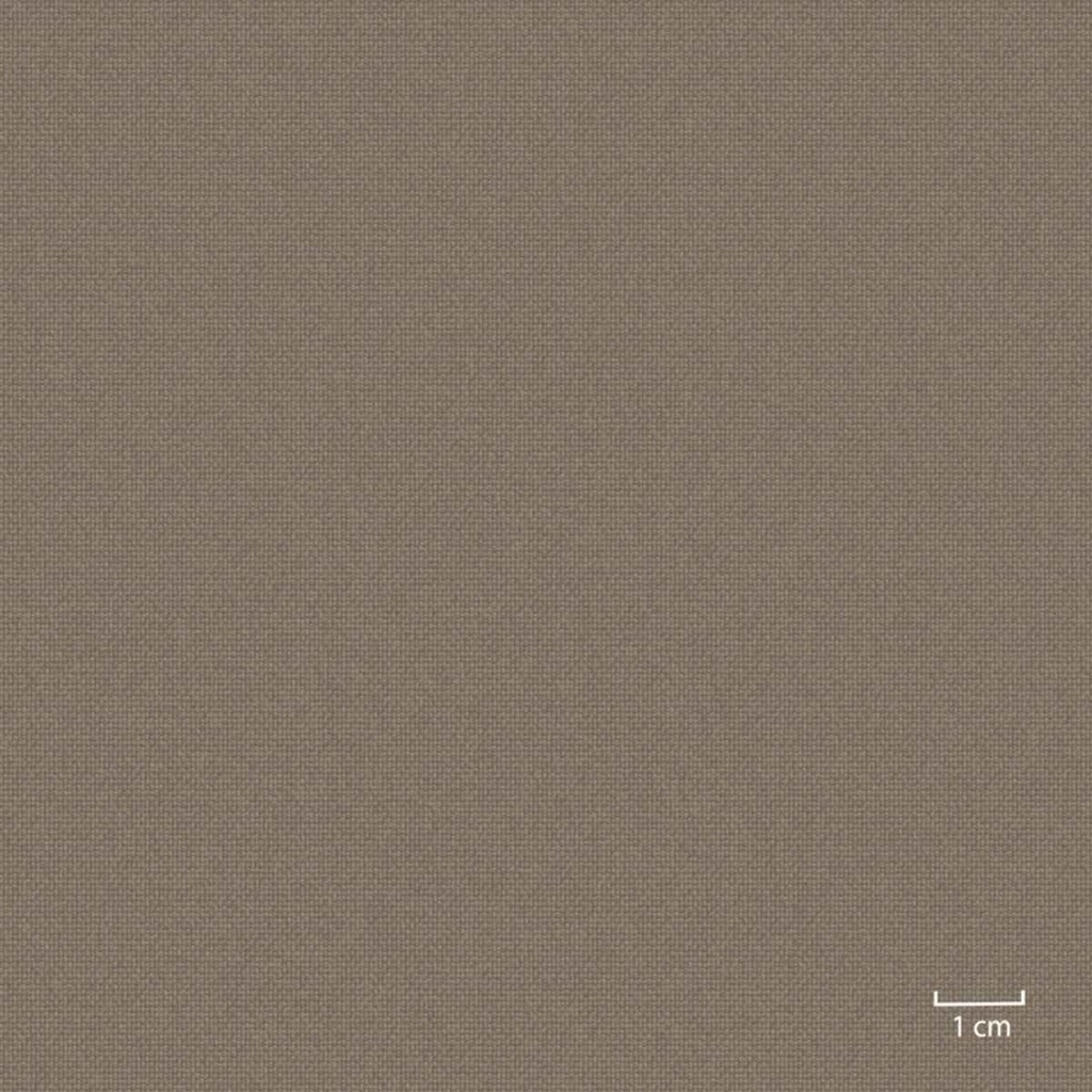 [451304] OLIVE, PLAIN