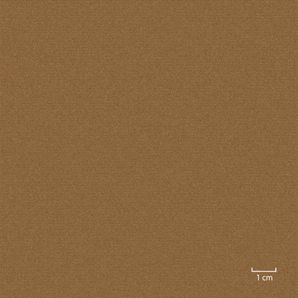 [451309] LIGHT BROWN, PLAIN