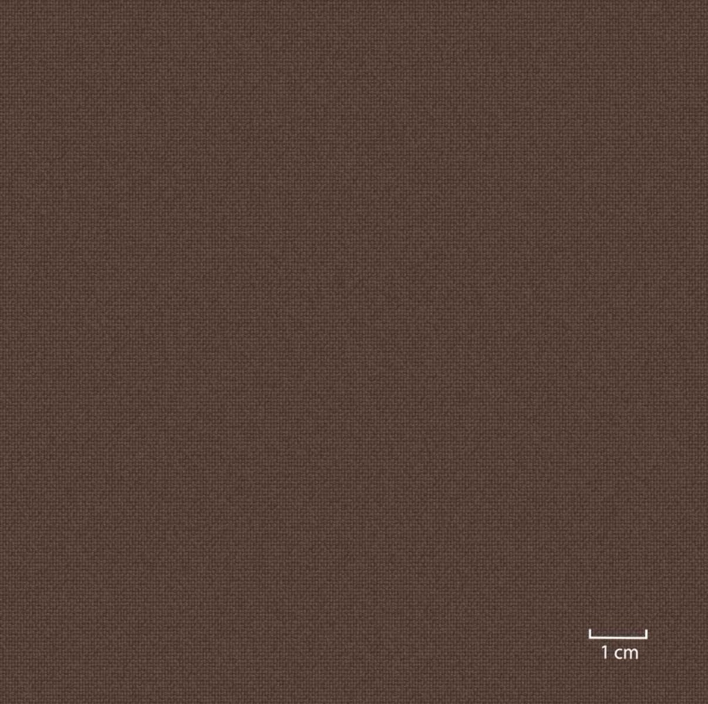 [451310] BROWN, PLAIN