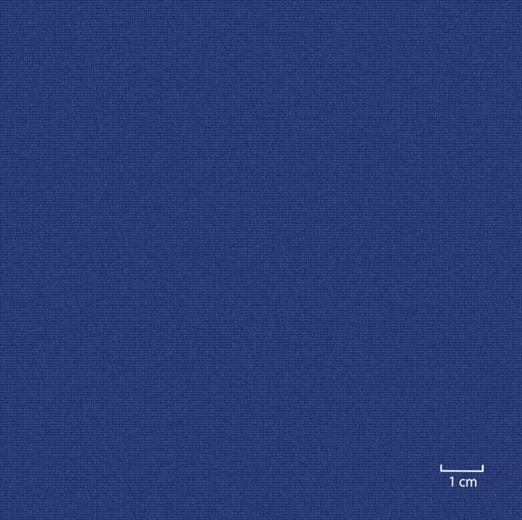 [451316] BLUE, PLAIN