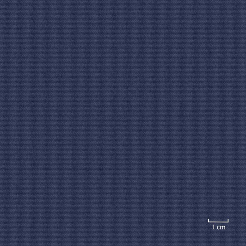 [451317] BLUE, PLAIN