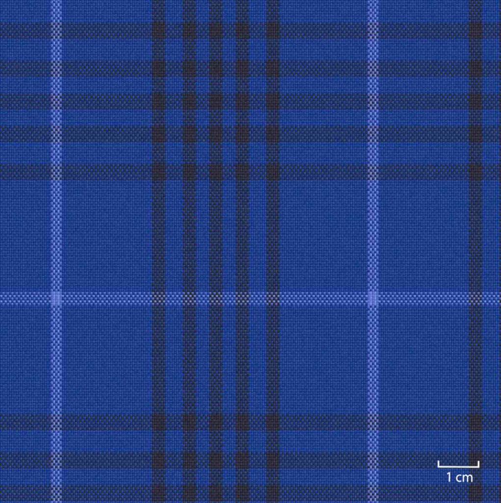 [451322] BLUE, BIG CHECKS