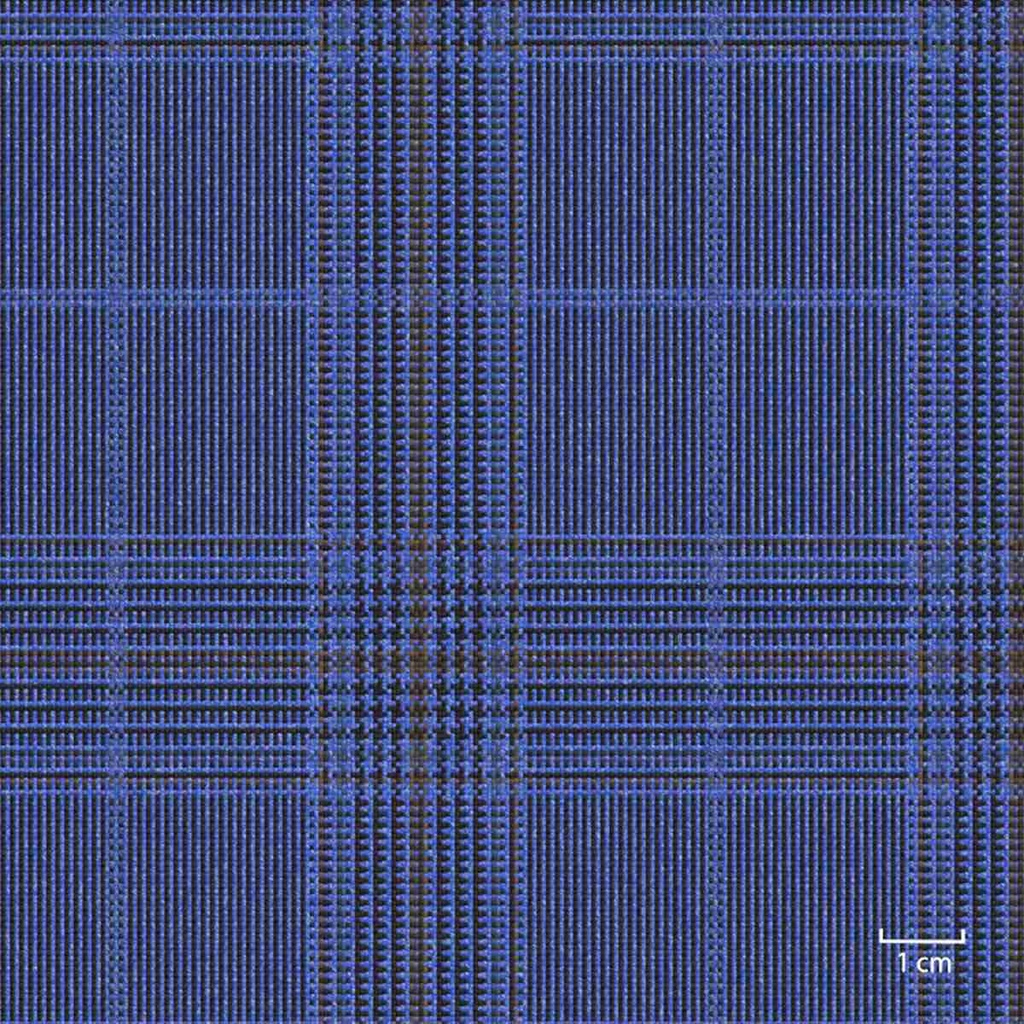 [451324] BLUE, BLUE_BROWN CHECKS