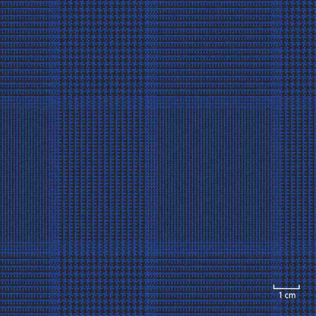 [451327] BLUE, CHECKS