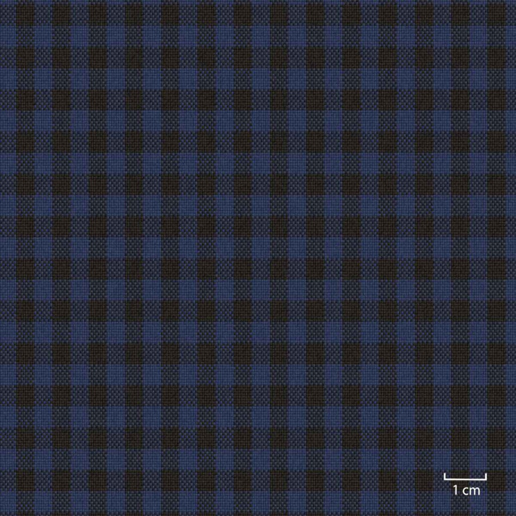 [451331] BLUE, SMALL CHECKS