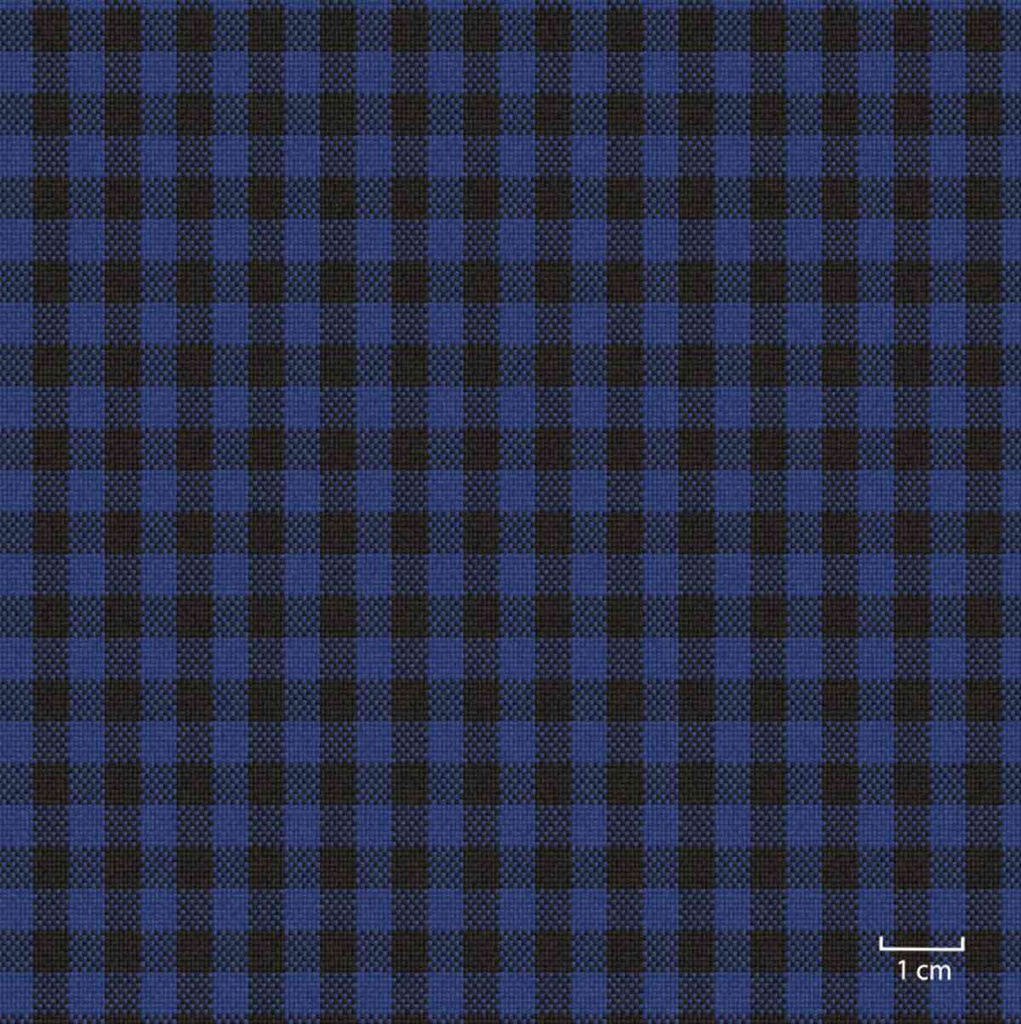 [451332] BLUE, SMALL CHECKS