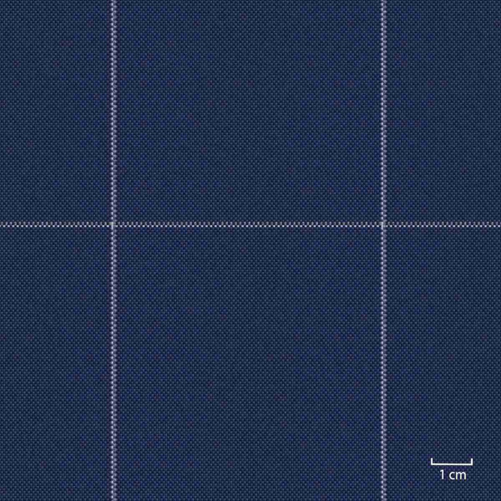 [451339] BLUE, BIG CHECKS