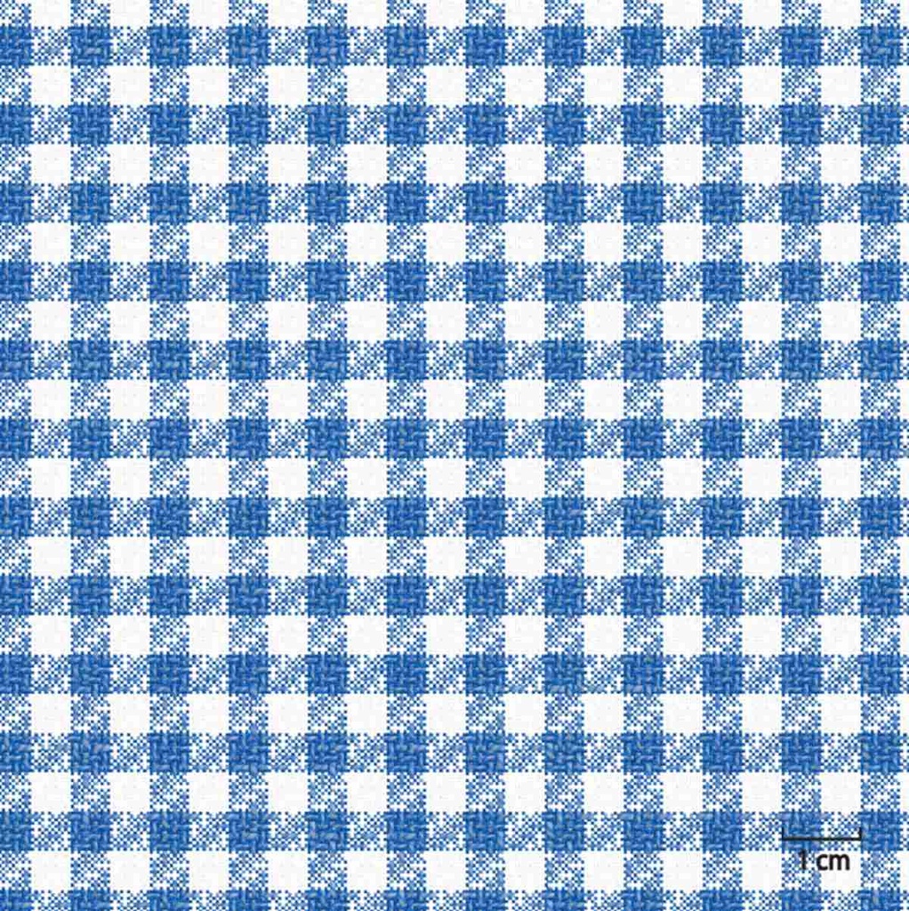 [451403] BLUE, SMALL CHECKS