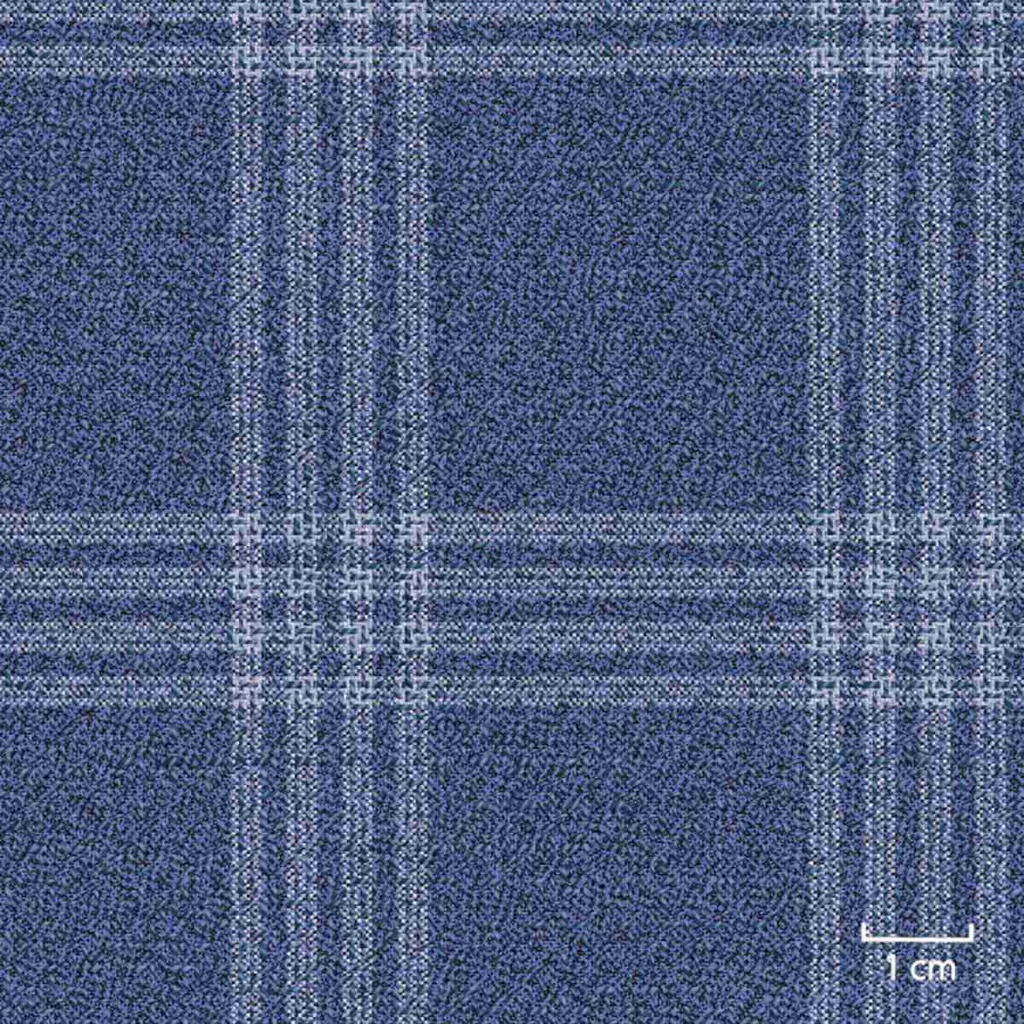 [451406] BLUE, CHECKS