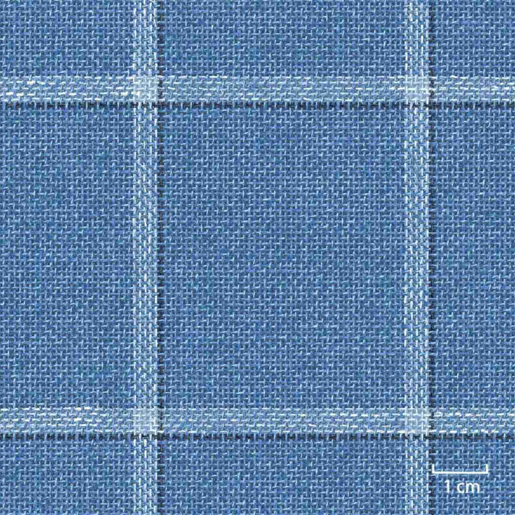 [451423] BLUE, BIG CHECKS
