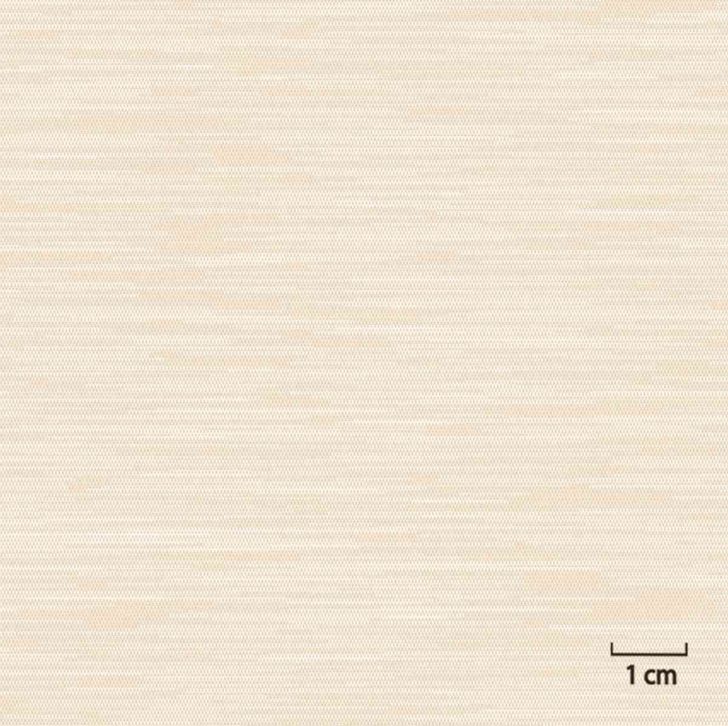 [451459] BEIGE, PLAIN