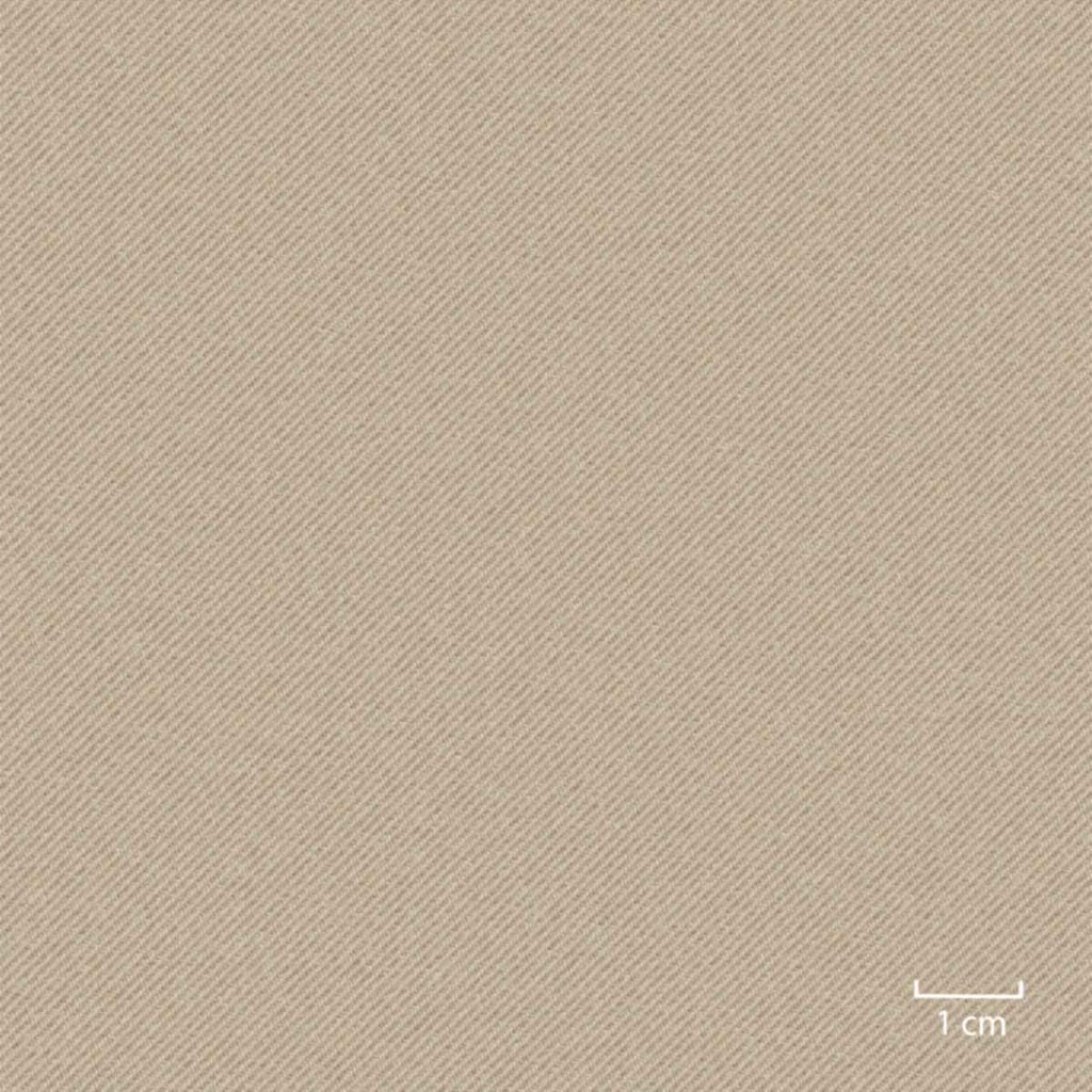 [451606] YELLOW BROWN,PLAIN