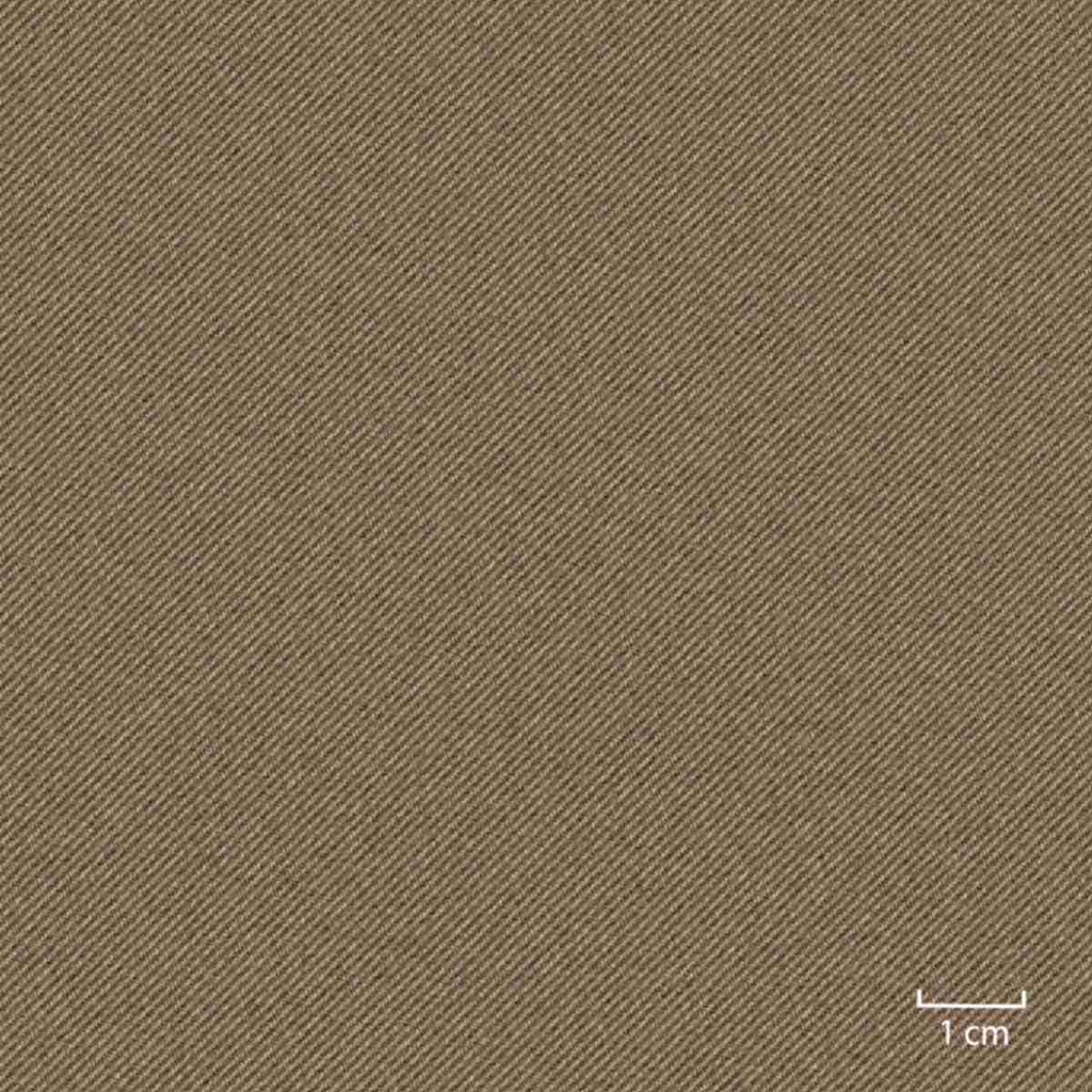 [451607] BROWN,PLAIN