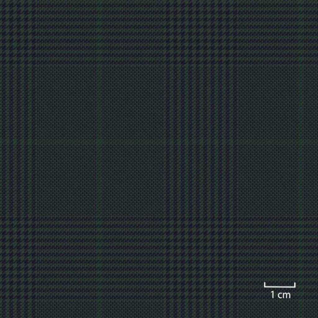 [451646] GREEN,CHECKS