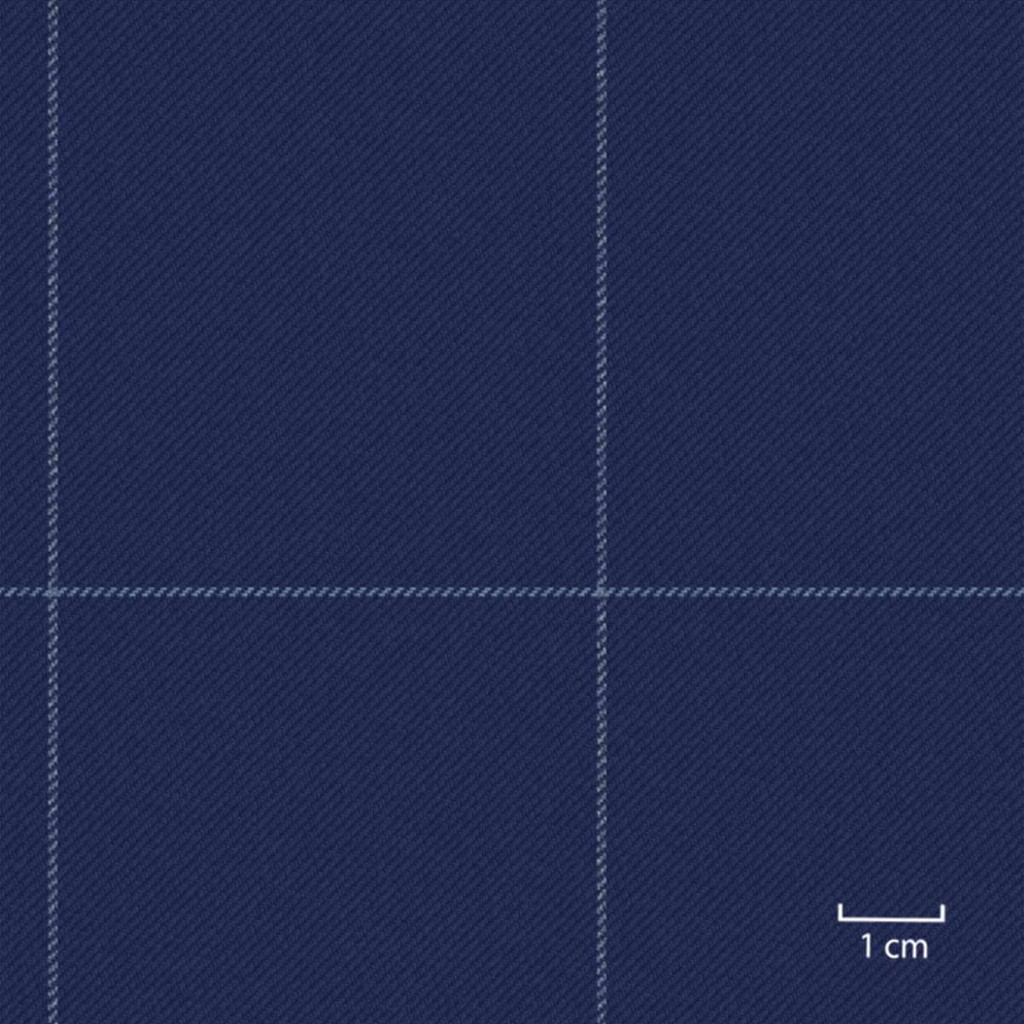 [451665] BLUE,BIG CHECKS