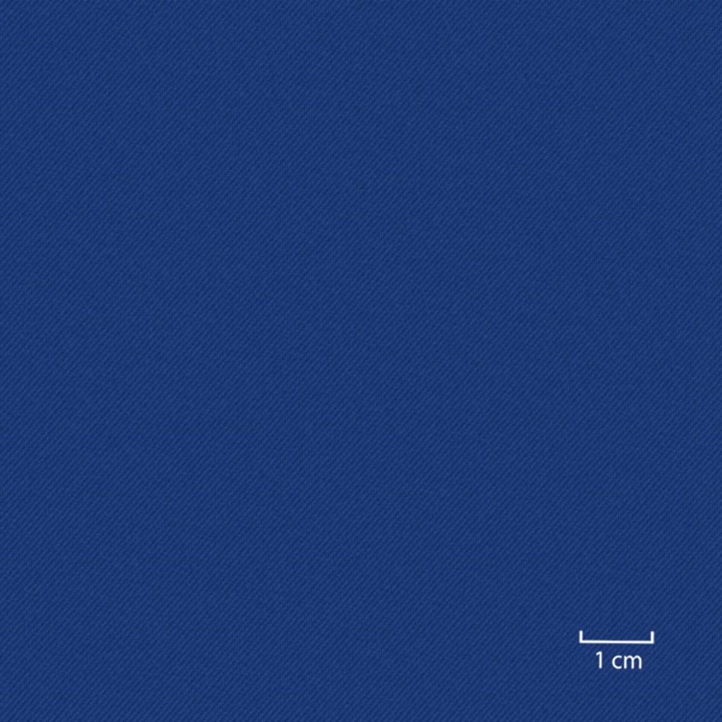 [451713] BLUE,PLAIN