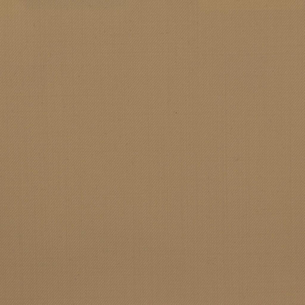 [451812] TAN, PLAIN