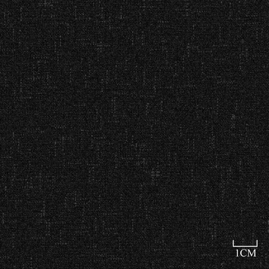 [451928] BLACK, PLAIN