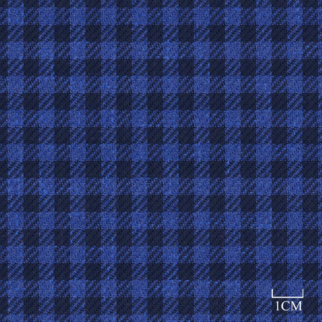 [451933] BLUE, CHECKS