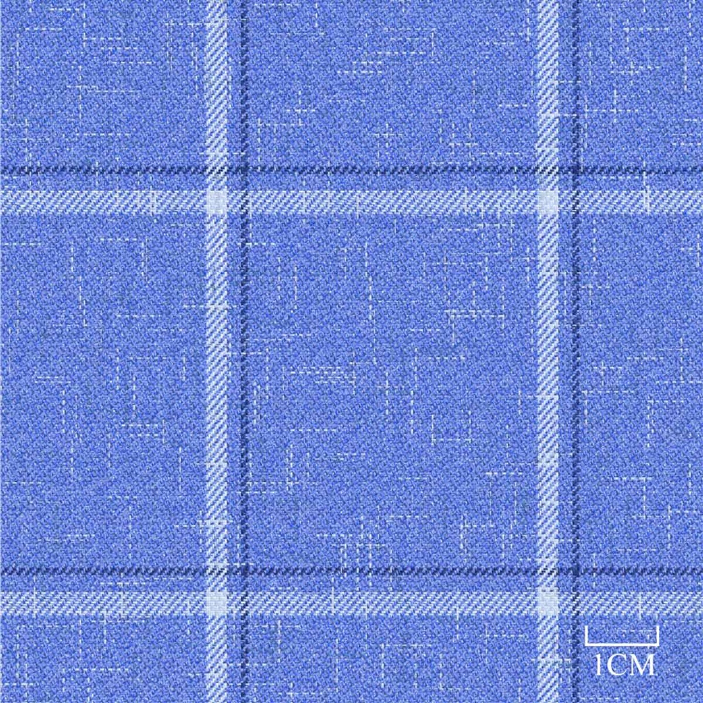 [451937] BLUE, CHECKS