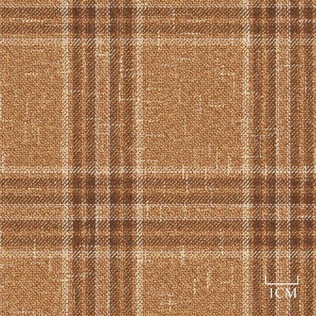 [451943] BROWN, CHECKS