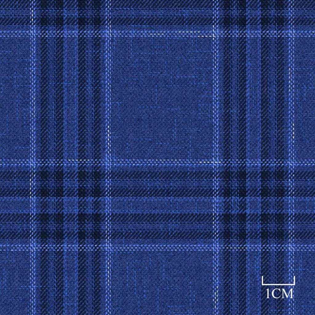 [451944] BLUE, CHECKS