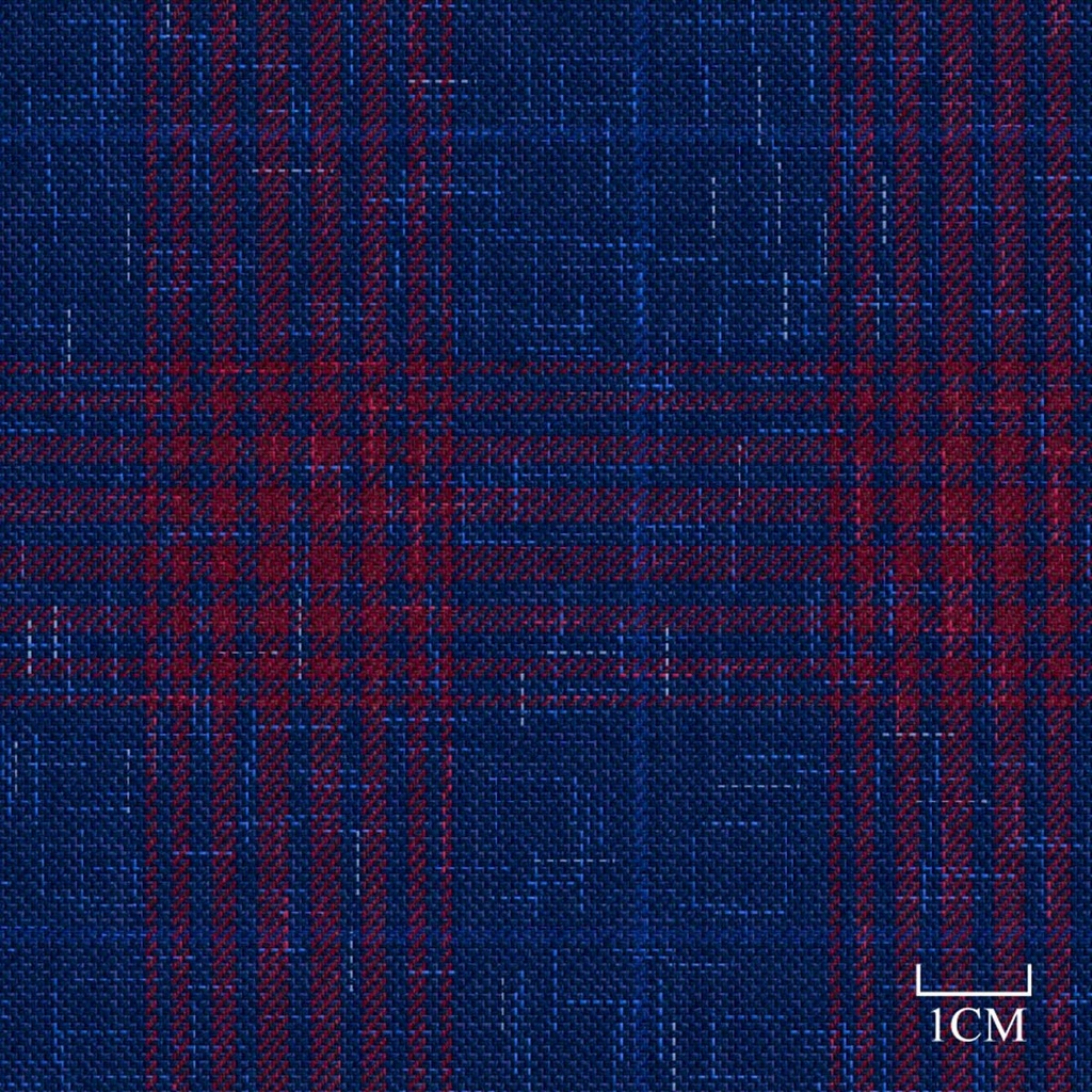 [451948] BLUE, RED CHECKS