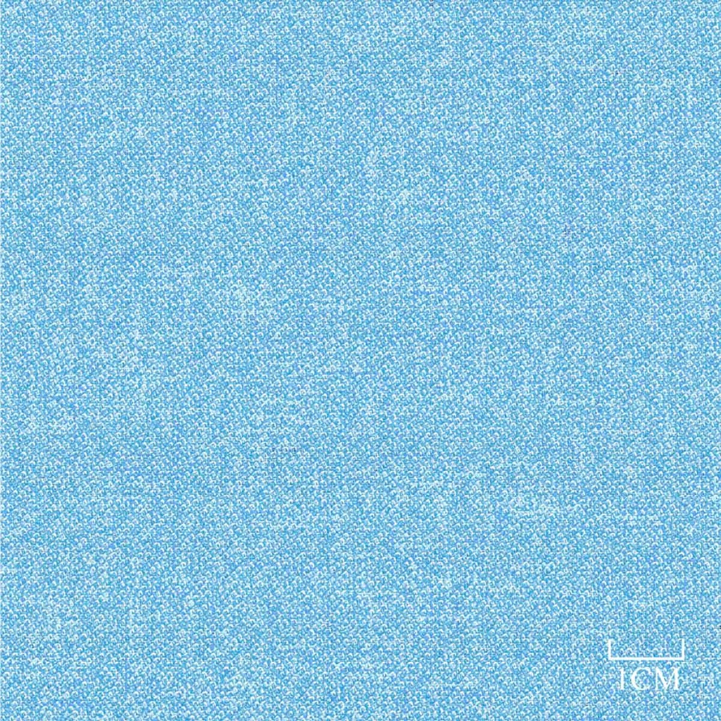 [451962] BLUE, PLAIN