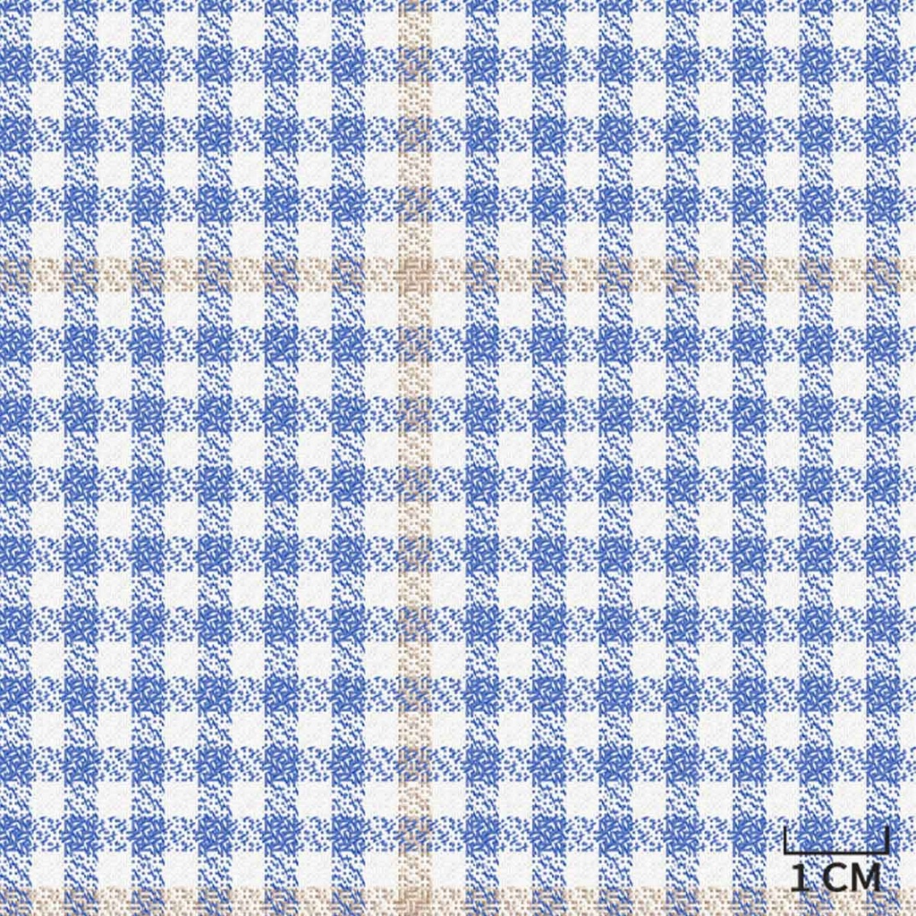 [452003] BLUE,BROWN CHECKS