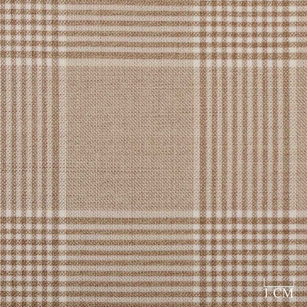 [452019] BROWN,CHECKS