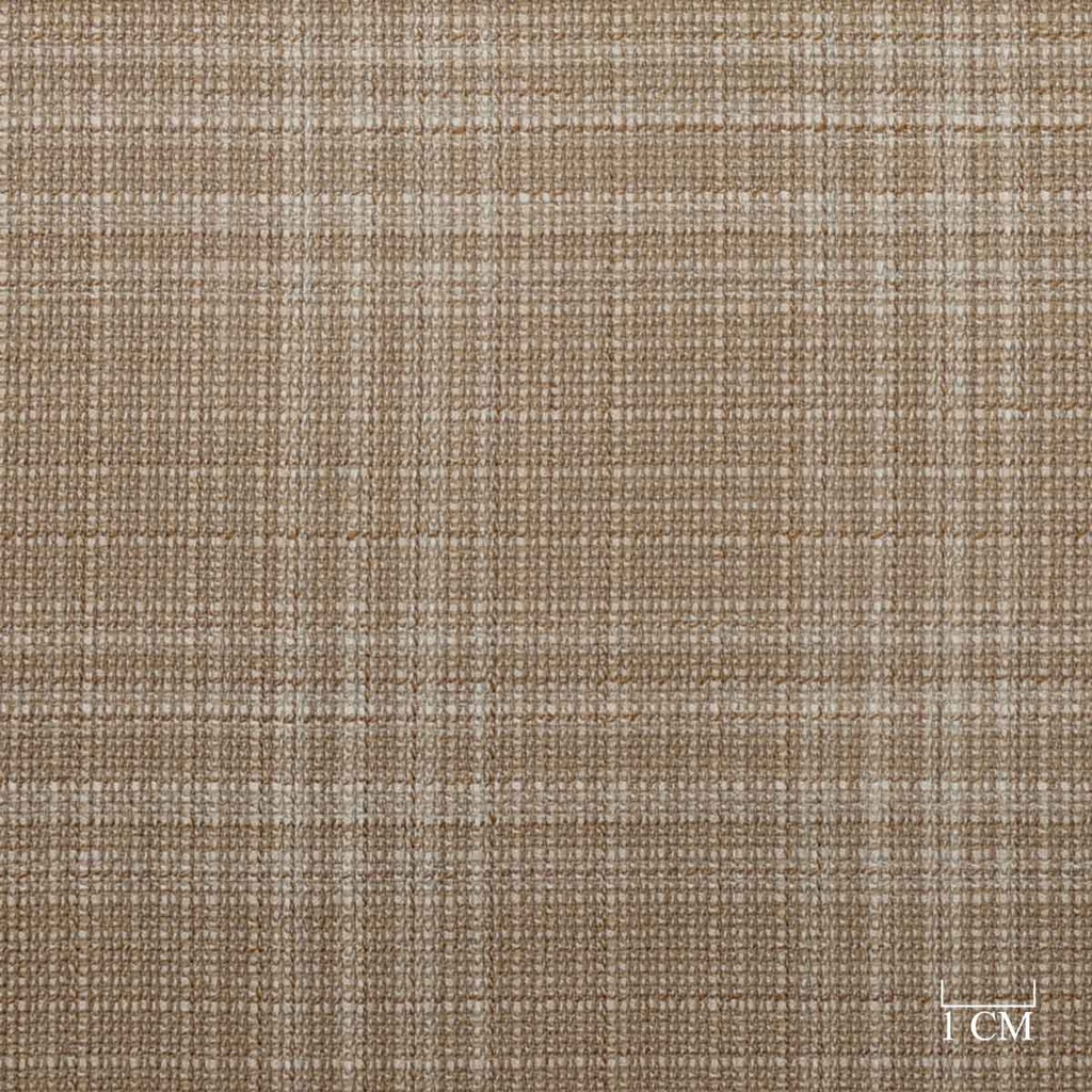 [452036] BROWN,CHECKS