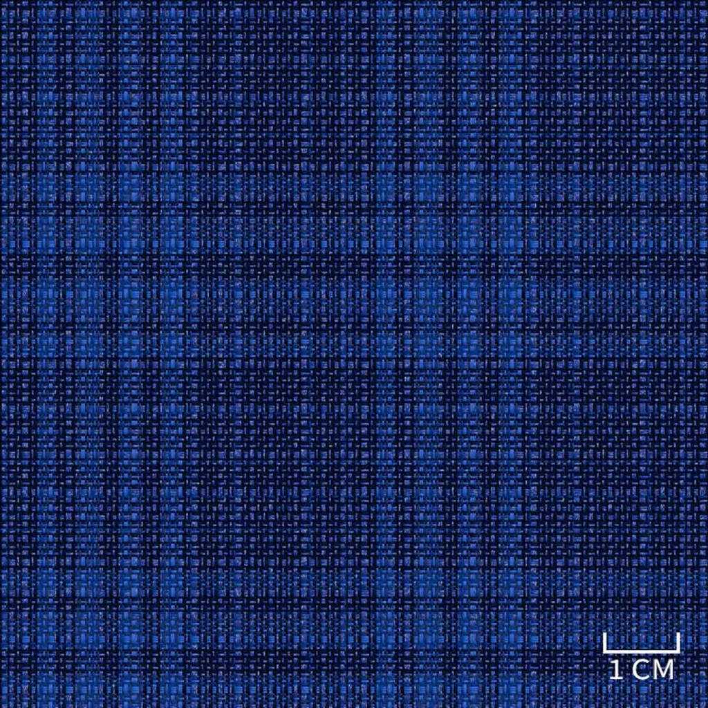 [452040] DARK BLUE,CHECKS